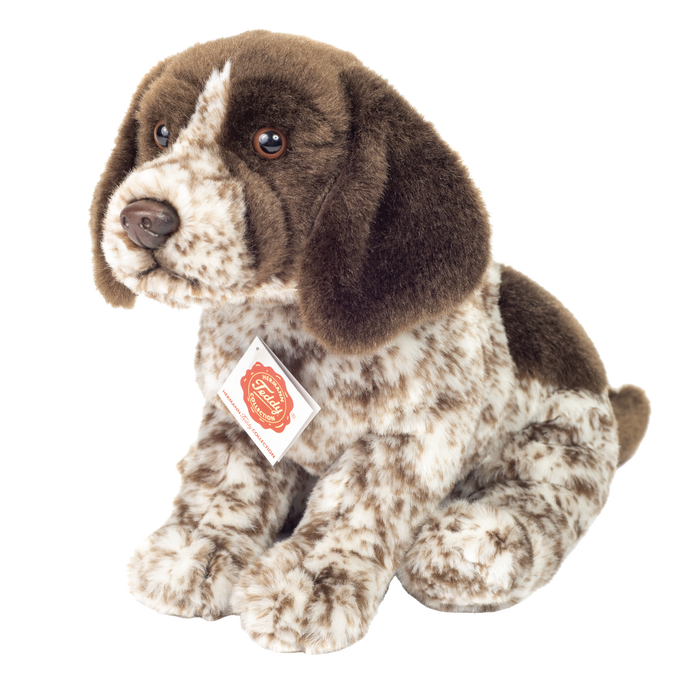 Deutsch Drahthaar Welpe 30cm