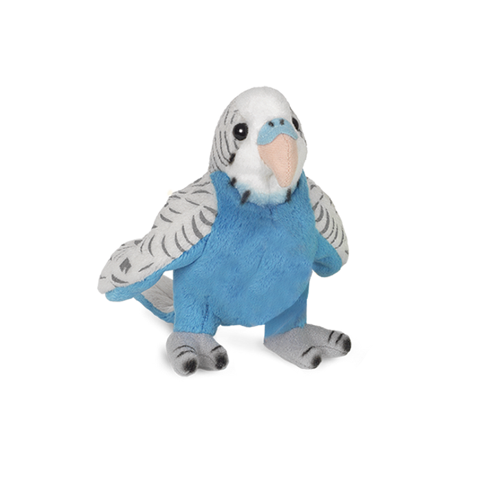 Wellensittich blau 13 cm
