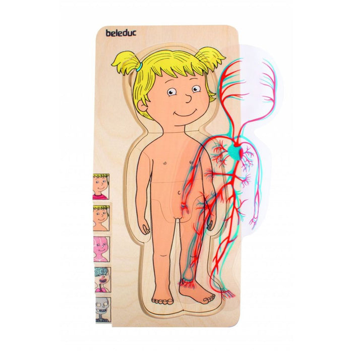 5 in 1 Schichtenpuzzle „Dein Körper“ Mädchen