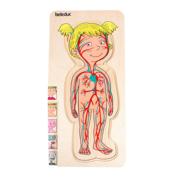 5 in 1 Schichtenpuzzle „Dein Körper“ Mädchen