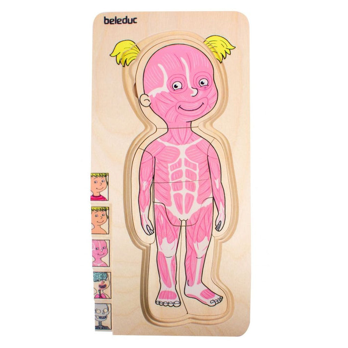 5 in 1 Schichtenpuzzle „Dein Körper“ Mädchen