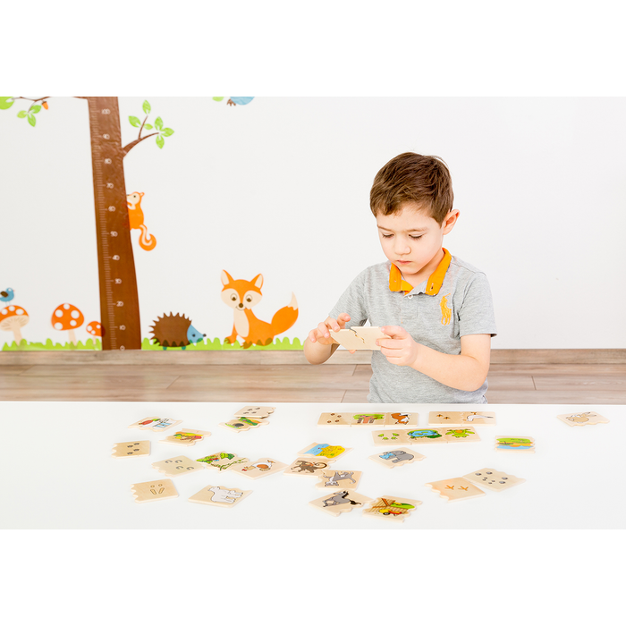 Cognito "Tierwelten"