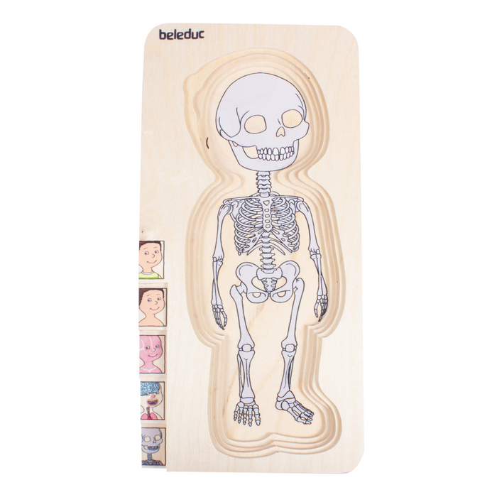 5 in 1 Schichtenpuzzle „Dein Körper“ Junge