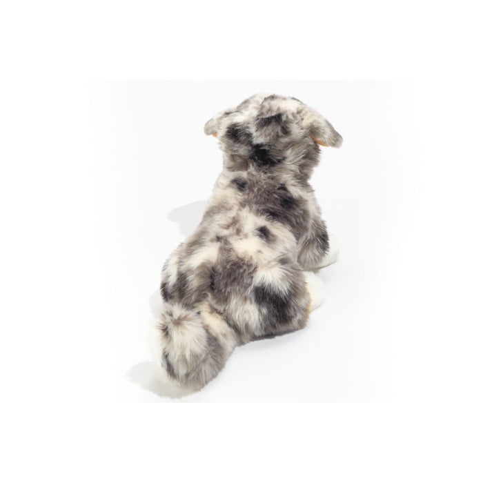 Australian Shepherd 30cm